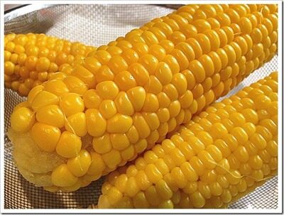 corn-9692575
